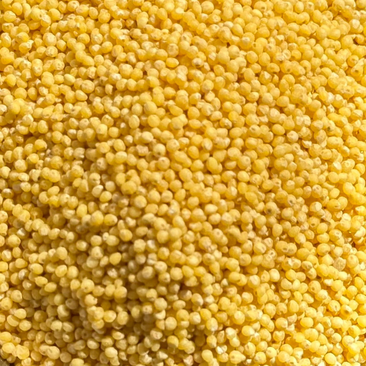 Bio Hirse | geschält