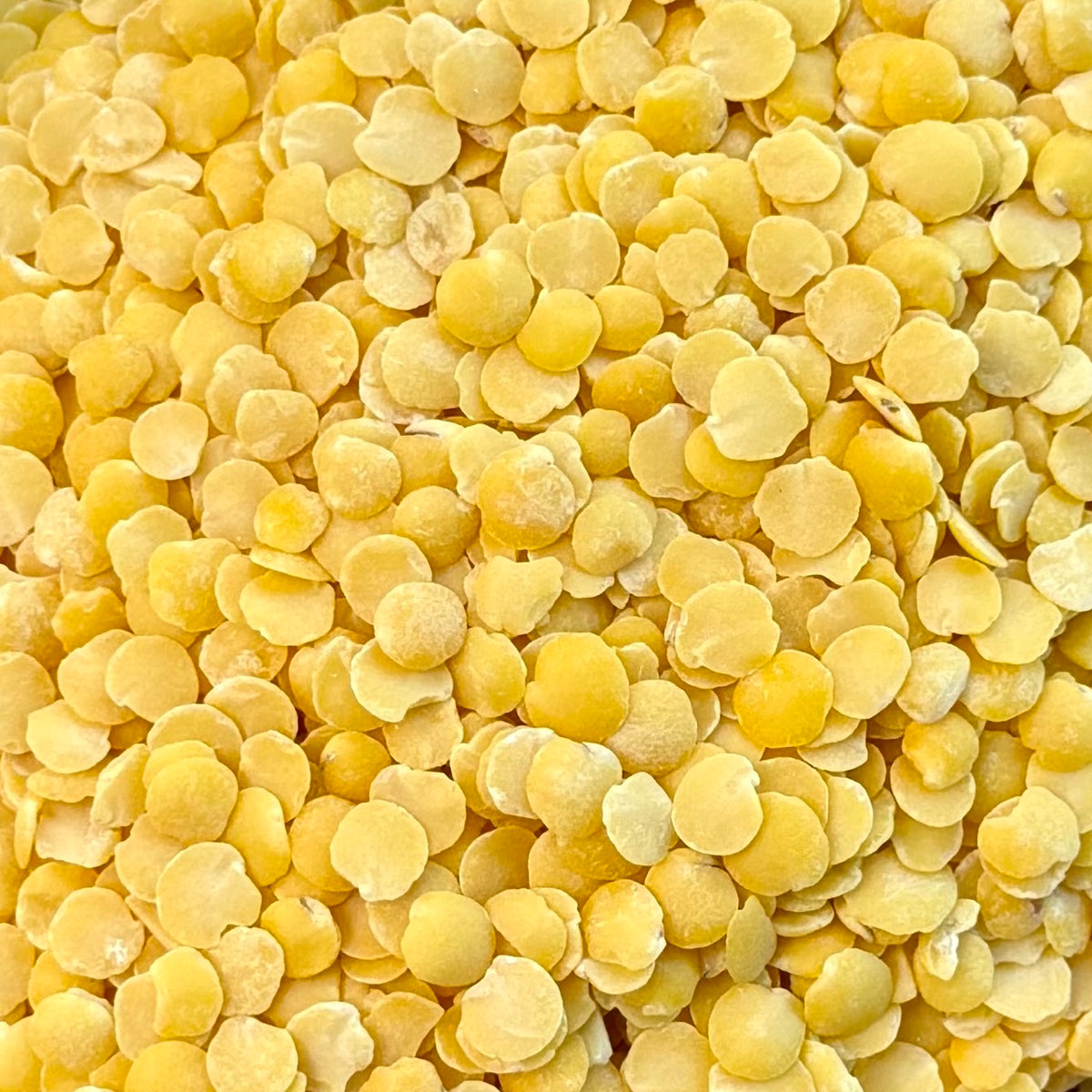 Organic lentils | yellow split